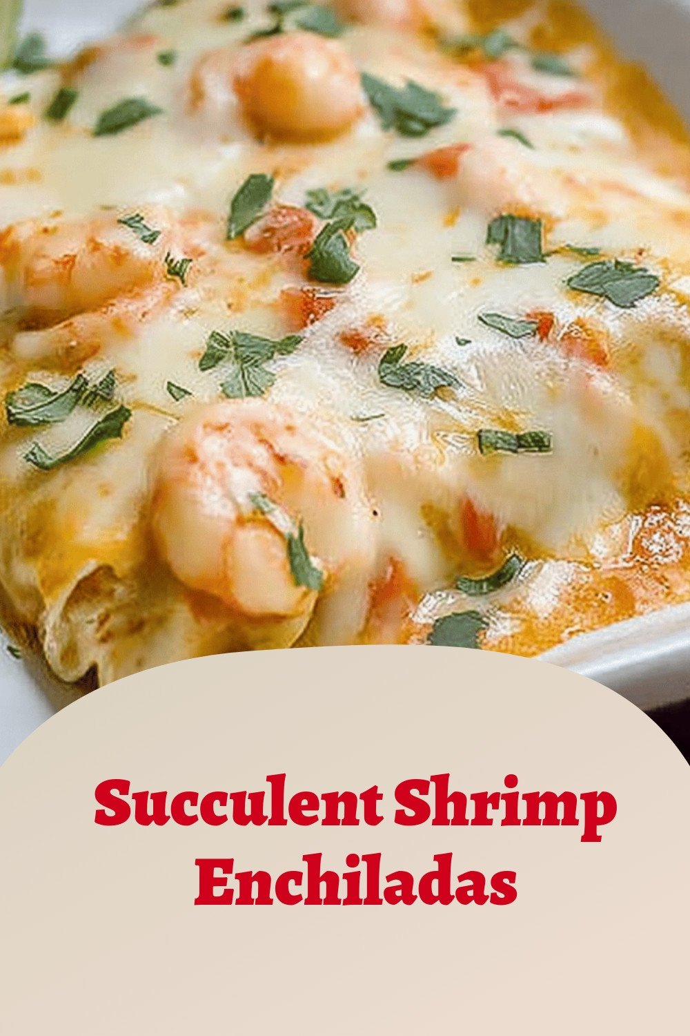 Succulent Shrimp Enchiladas