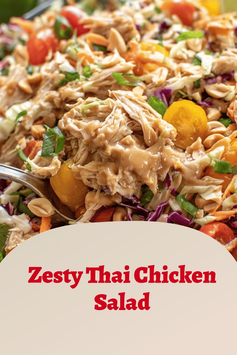 Zesty Thai Chicken Salad